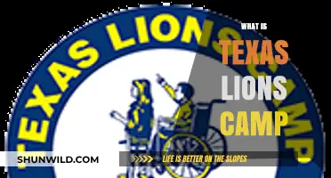 Exploring the Heart of Texas: A Journey to Lions Camp