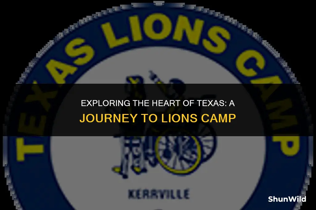 what is texas lions camp