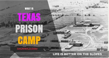 Unveiling the Reality of Texas Prison Camps: A Comprehensive Guide