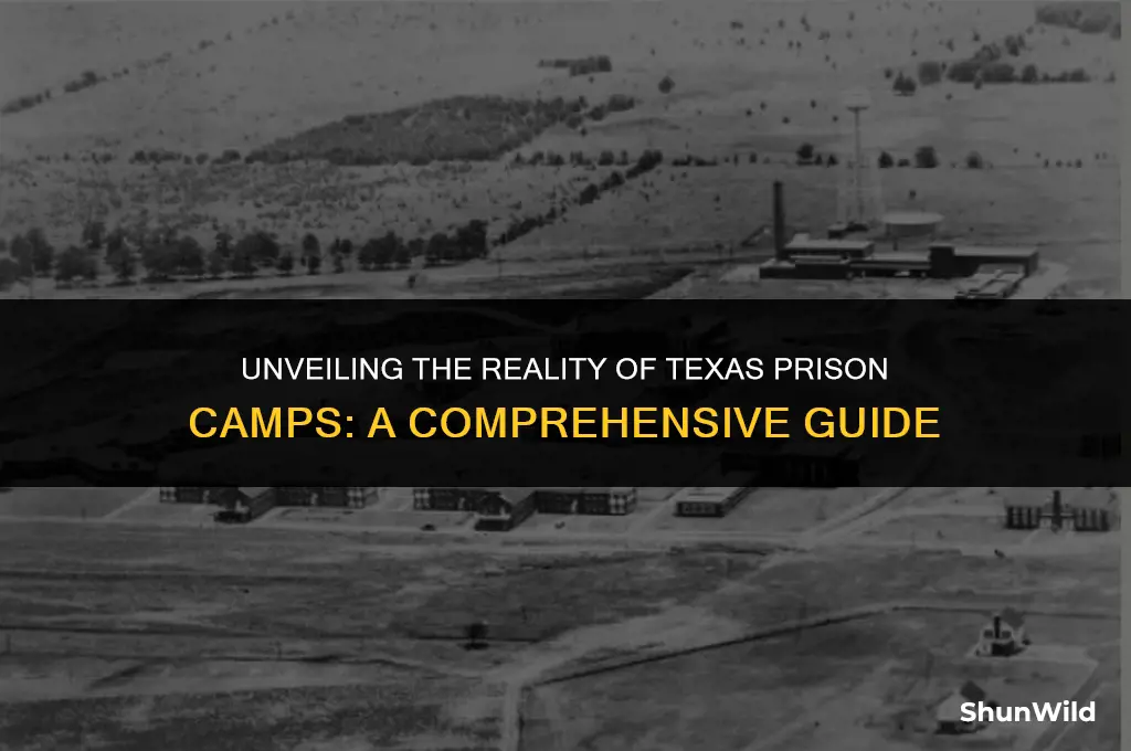 what is texas prison camp