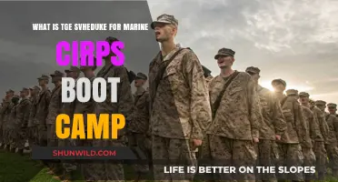 Understanding the Schedule for Marine Corps Boot Camp: A Comprehensive Guide
