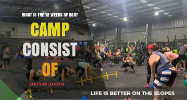 Unveiling the 12-Week Boot Camp Journey: Training, Challenges, and Transformation