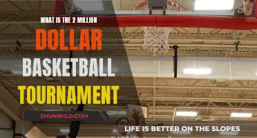 Million-Dollar Basketball Tournament: Hoops for Huge Cash Prizes