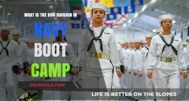Understanding the 900 Division: Navy Boot Camp Explained