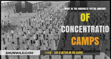 Unveiling the Total Number of Concentration Camps Globally