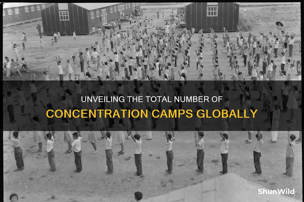 what is the absoulte tottal amount of concentration camps