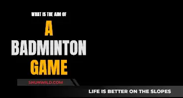 Badminton's Aim: Hit the Shuttlecock, Win the Game