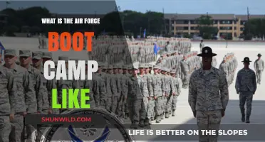 Air Force Boot Camp: Challenges, Training, and Life-Changing Experiences