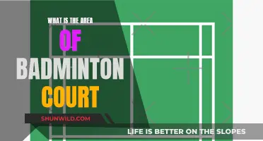 Badminton Court Sizes: Understanding the Playing Area