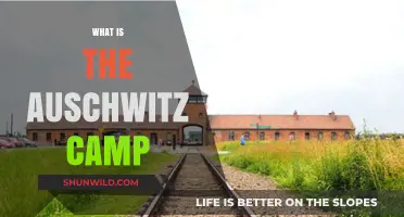 Unveiling the Horrors: A Comprehensive Guide to Auschwitz Camp