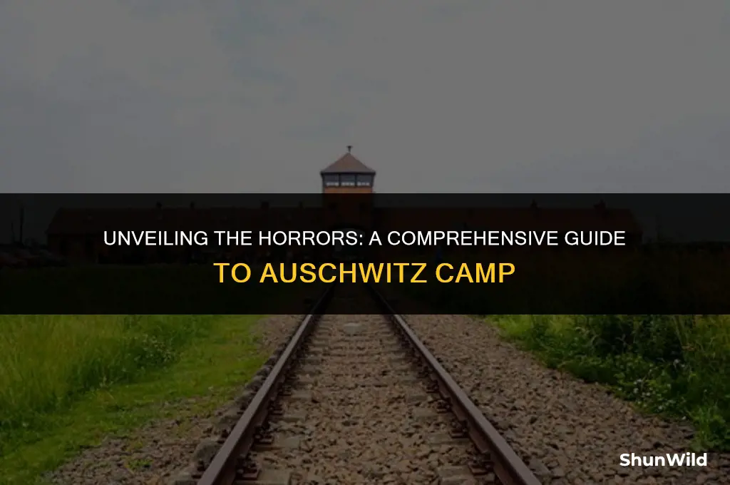 what is the auschwitz camp