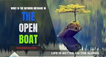 The Open Boat: Author's Message and Themes Explored