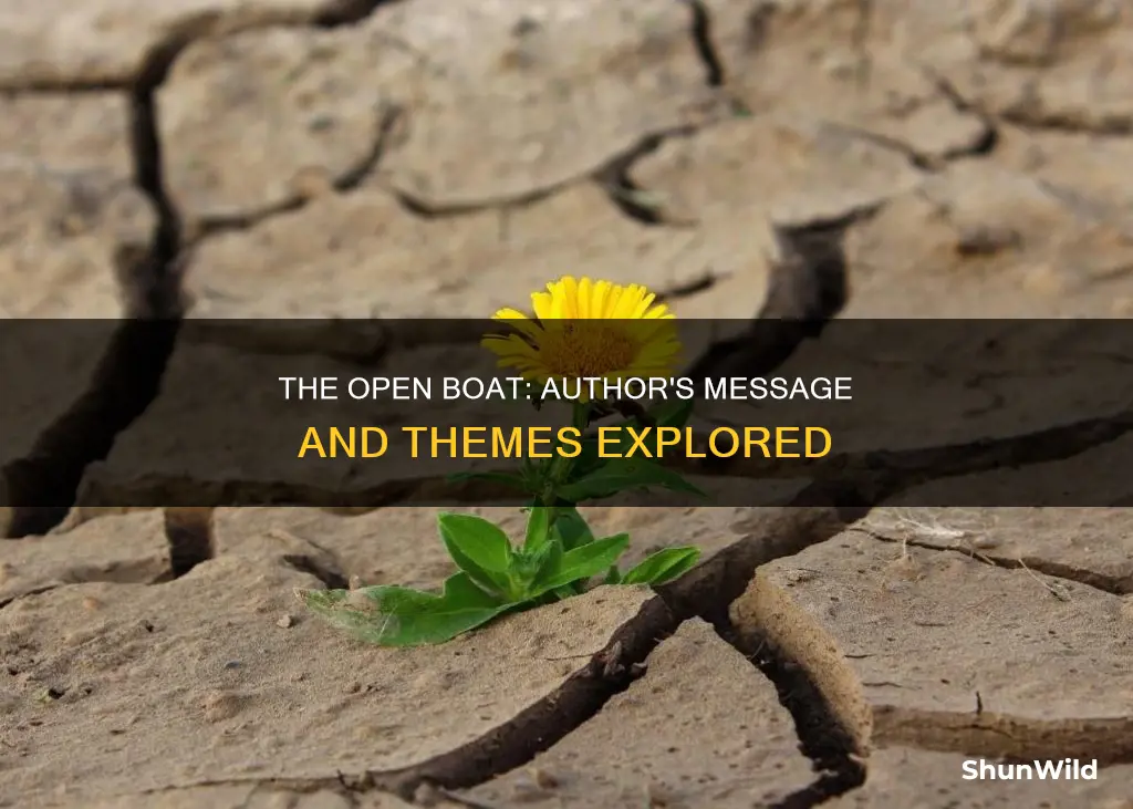 what is the authors message in the open boat