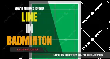 Back Boundary Line: Badminton Court Basics