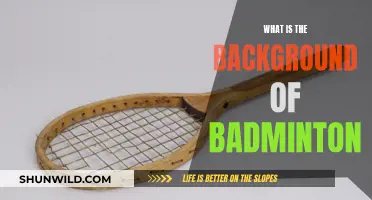 Badminton's Historical Roots: A Brief Overview