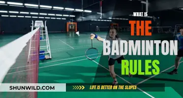 Badminton Rules: A Beginner's Guide