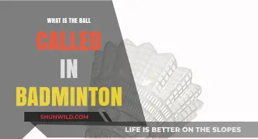 Badminton Birdie: What's in a Name?