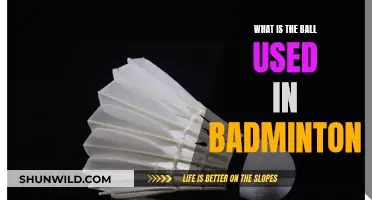 Shuttlecocks: The Unique Badminton 'Ball