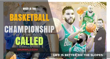 The Basketball Championship: What's in a Name?