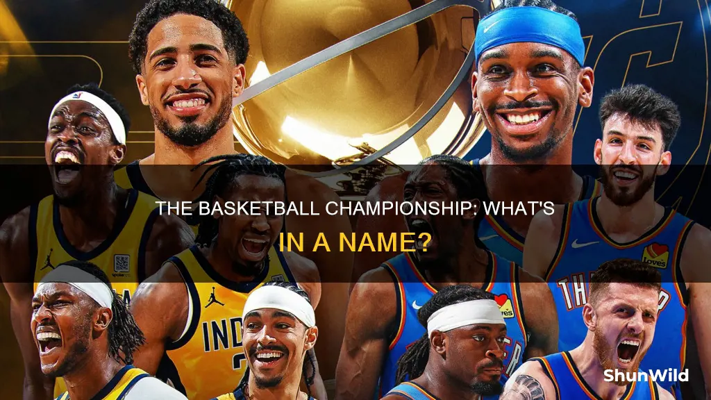 what is the basketball championship called
