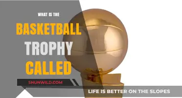 The Coveted Basketball Trophy: What's in a Name?