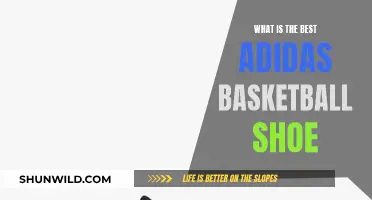 Best Adidas Basketball Shoes: Top Picks for the Court