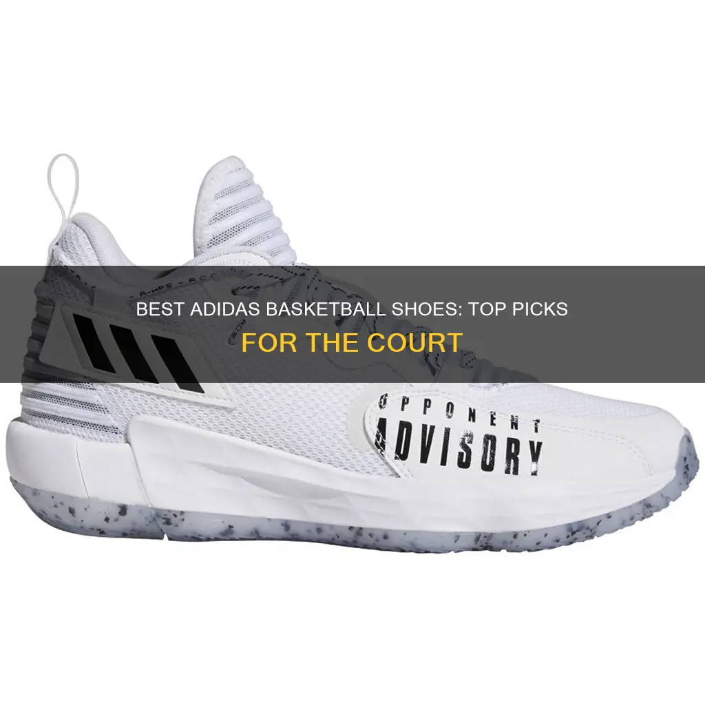 what is the best adidas basketball shoe
