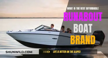 Runabout Boat Brands: Best Affordable Options