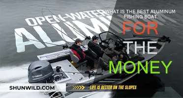 Best Aluminum Fishing Boats: Value for Money?