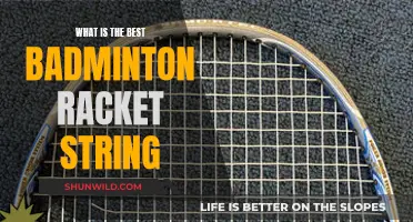 Best Badminton Strings: Power and Precision