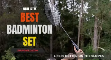 Badminton Set: Picking the Perfect One