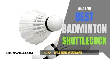 Best Shuttlecocks for Badminton: A Buyer's Guide
