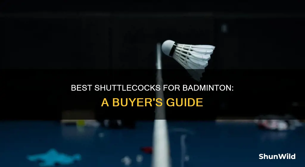 what is the best badminton shuttlecock