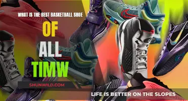 The Ultimate Basketball Shoe: A Timeless Court Classic