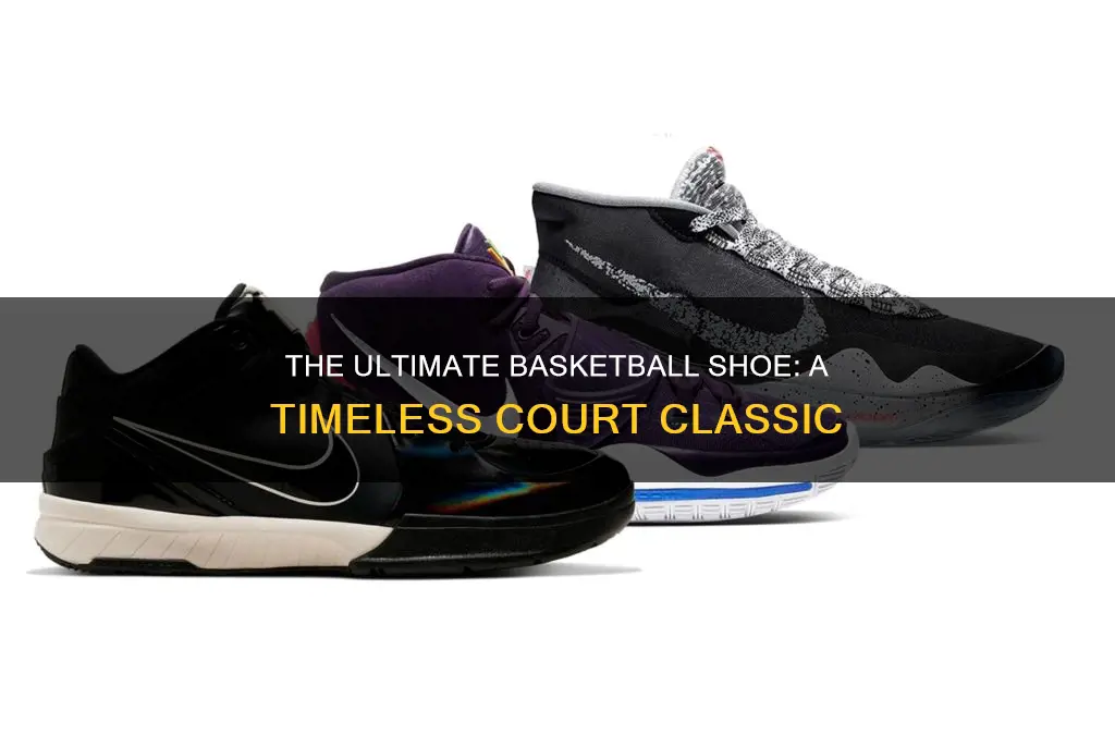 what is the best basketball shoe of all timw