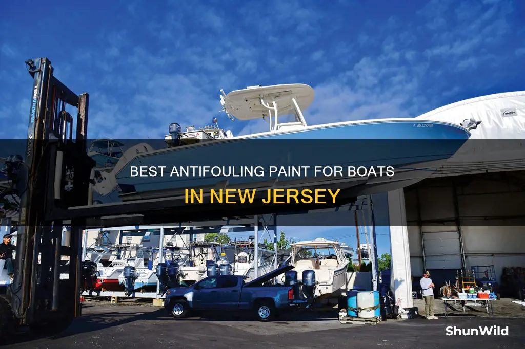 what is the best boat antifouling paint for nj