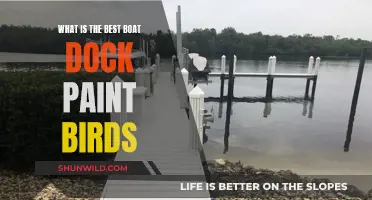 Best Boat Dock Paints to Keep Birds Away