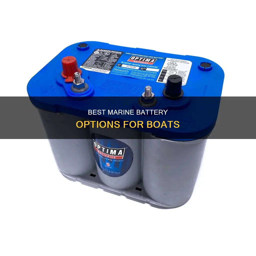 what is the best boat marine battery