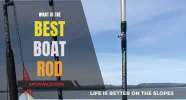 Best Boat Rods: The Ultimate Fishing Experience