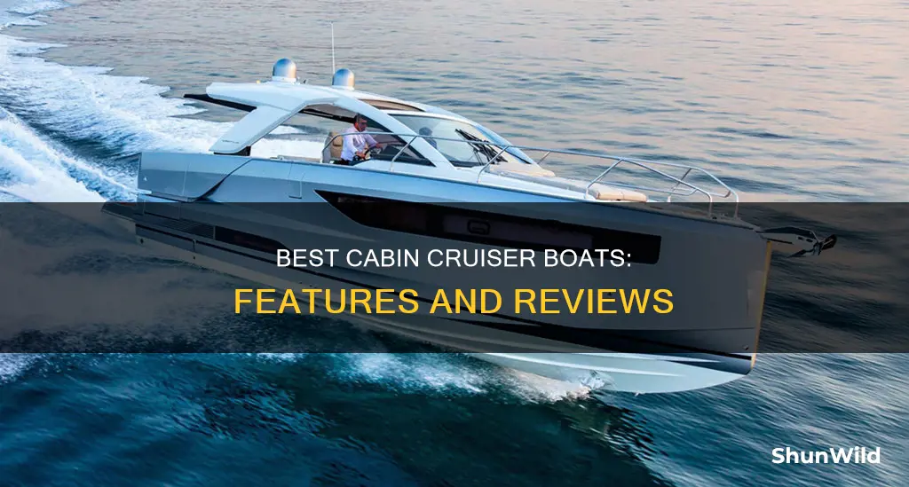 what is the best cabin cruiser boat