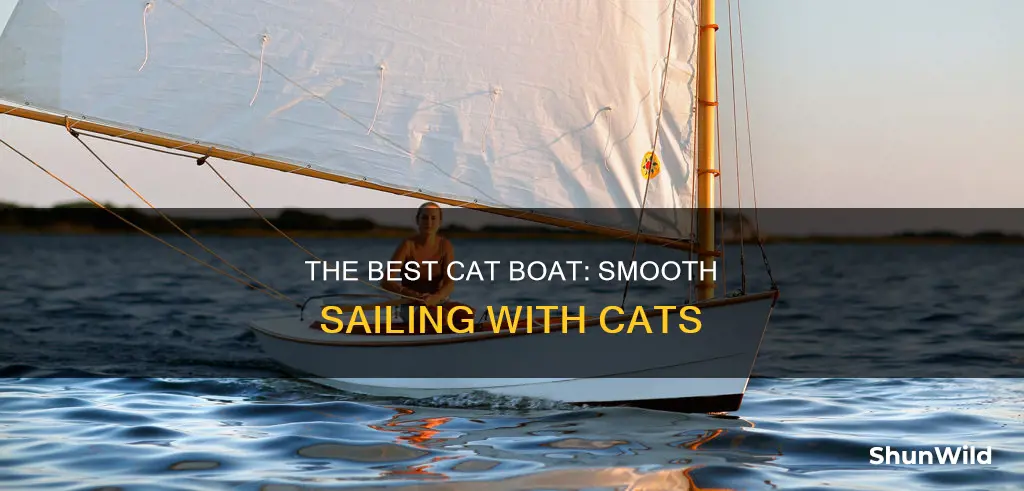 what is the best cat boat