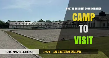 Exploring History: Which Concentration Camp Memorial Offers the Most Insight?
