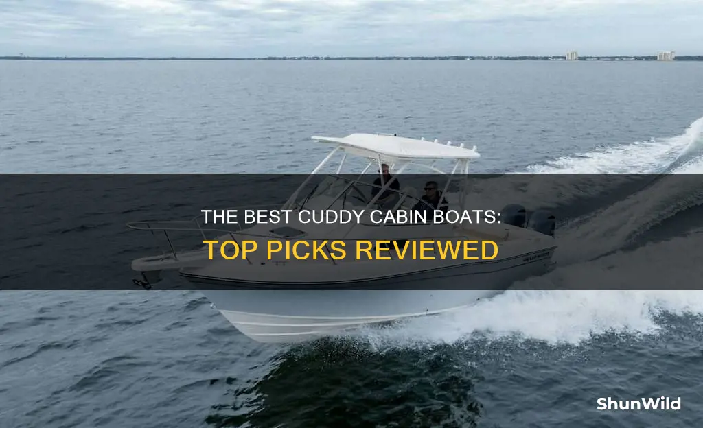 what is the best cuddy cabin boat