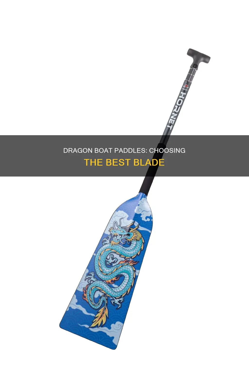 what is the best dragon boat paddle