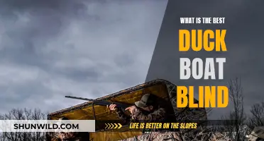 Duck Boat Blinds: Best Concealment Options