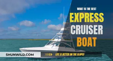 Express Cruiser Boats: Which is the Best?