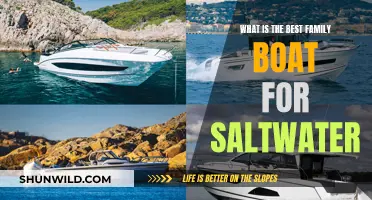 Best Saltwater Family Boats: Choosing the Perfect Vessel