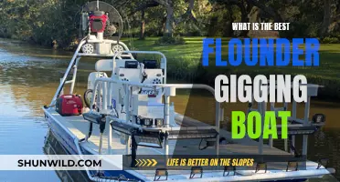 Best Boats for Flounder Gigging: A Comprehensive Guide