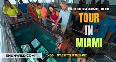 Miami's Ultimate Glass-Bottom Boat Adventure