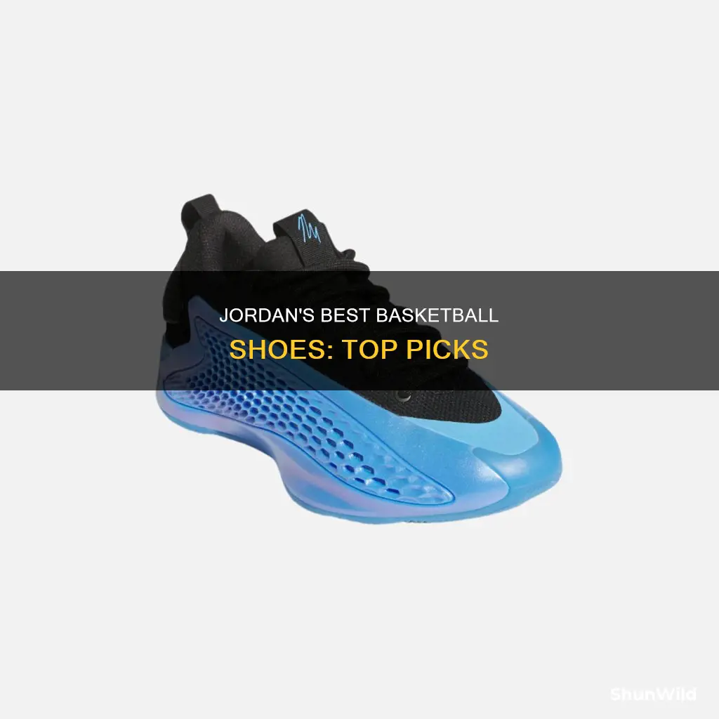 what is the best jordan shoe for basketball